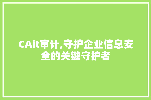 CAit审计,守护企业信息安全的关键守护者