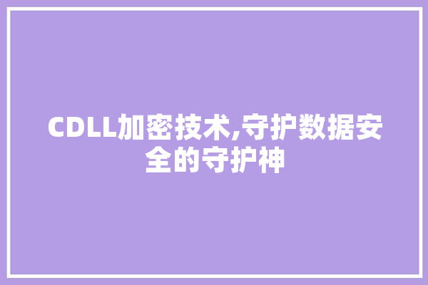 CDLL加密技术,守护数据安全的守护神 计算机