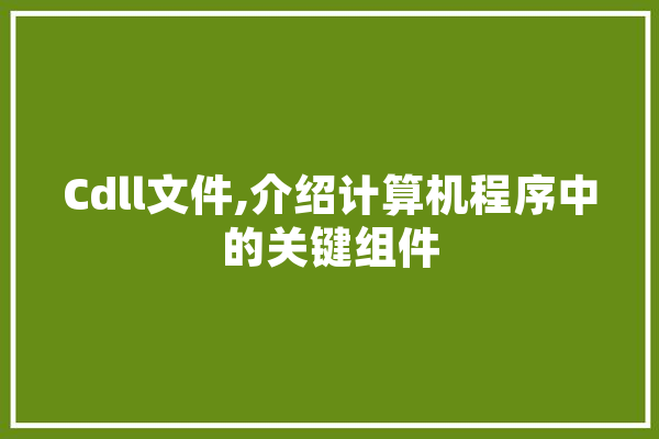 Cdll文件,介绍计算机程序中的关键组件