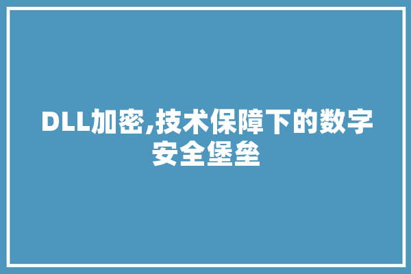 DLL加密,技术保障下的数字安全堡垒