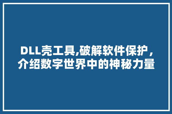 DLL壳工具,破解软件保护，介绍数字世界中的神秘力量