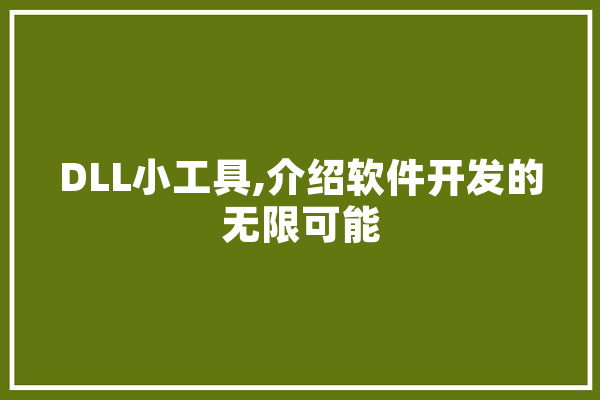 DLL小工具,介绍软件开发的无限可能