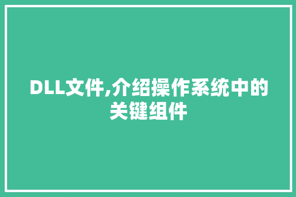 DLL文件,介绍操作系统中的关键组件 科技快讯
