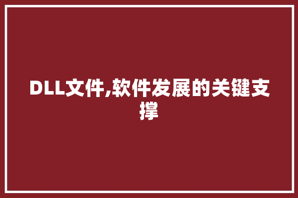 DLL文件,软件发展的关键支撑 计算机