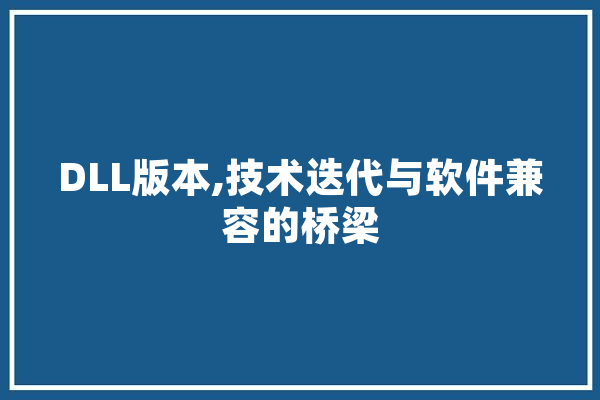 DLL版本,技术迭代与软件兼容的桥梁