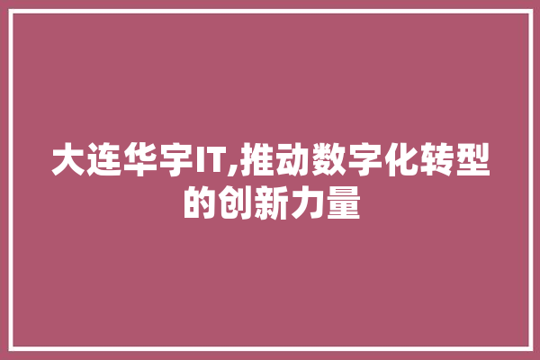 大连华宇IT,推动数字化转型的创新力量