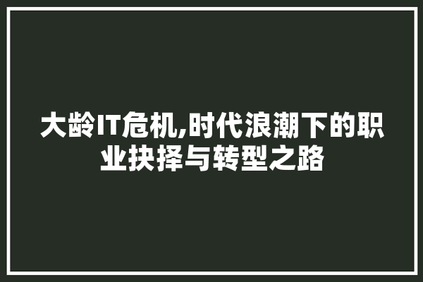 大龄IT危机,时代浪潮下的职业抉择与转型之路