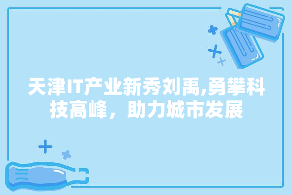 天津IT产业新秀刘禹,勇攀科技高峰，助力城市发展
