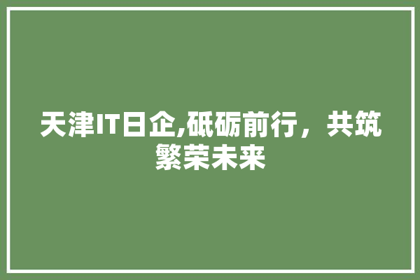 天津IT日企,砥砺前行，共筑繁荣未来