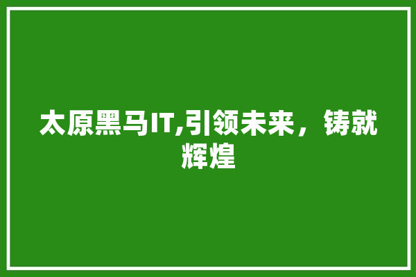 太原黑马IT,引领未来，铸就辉煌