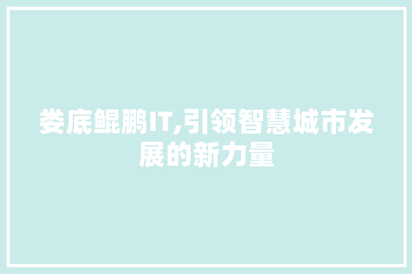 娄底鲲鹏IT,引领智慧城市发展的新力量 绘影字幕