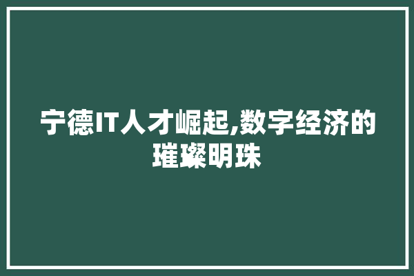 宁德IT人才崛起,数字经济的璀璨明珠