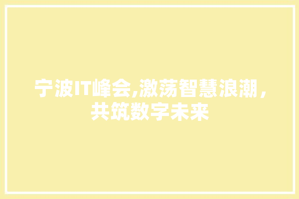 宁波IT峰会,激荡智慧浪潮，共筑数字未来