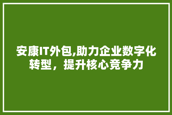 安康IT外包,助力企业数字化转型，提升核心竞争力 智能助手