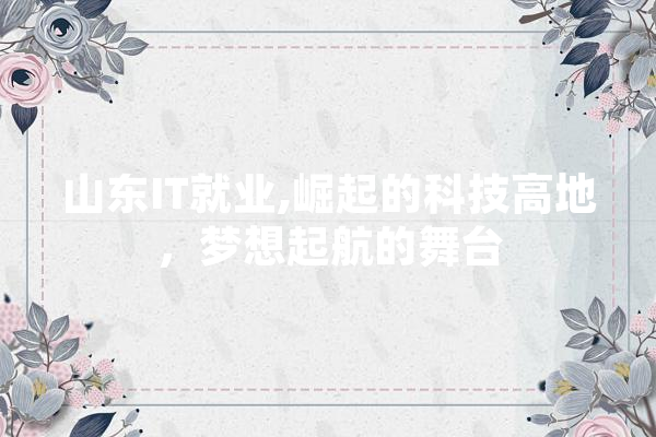 山东IT就业,崛起的科技高地，梦想起航的舞台