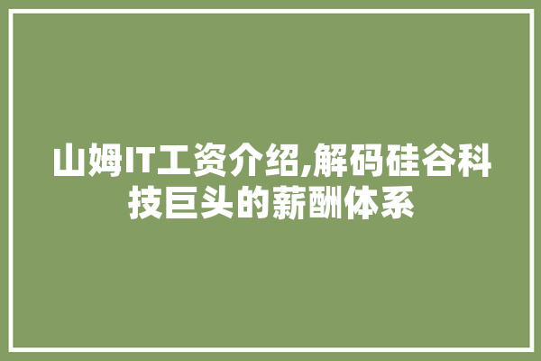 山姆IT工资介绍,解码硅谷科技巨头的薪酬体系 绘影字幕