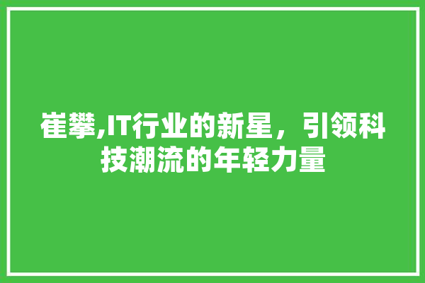 崔攀,IT行业的新星，引领科技潮流的年轻力量 AI简讯