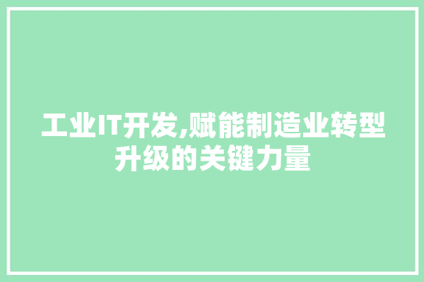 工业IT开发,赋能制造业转型升级的关键力量