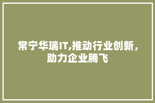 常宁华瑞IT,推动行业创新，助力企业腾飞 AI快讯