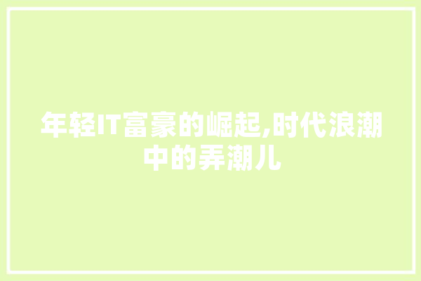 年轻IT富豪的崛起,时代浪潮中的弄潮儿