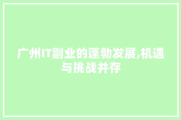 广州IT副业的蓬勃发展,机遇与挑战并存