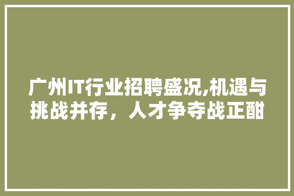 广州IT行业招聘盛况,机遇与挑战并存，人才争夺战正酣