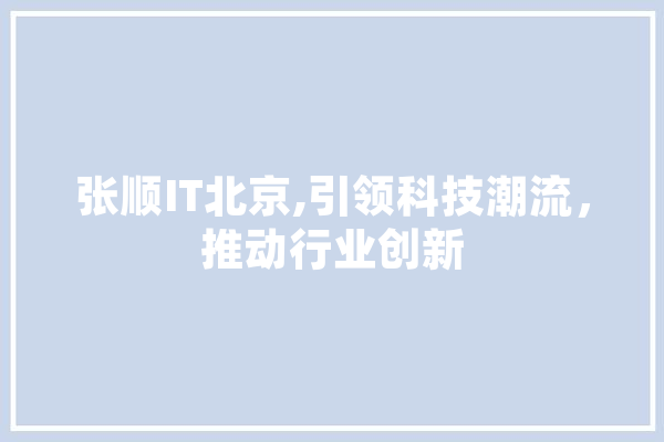 张顺IT北京,引领科技潮流，推动行业创新
