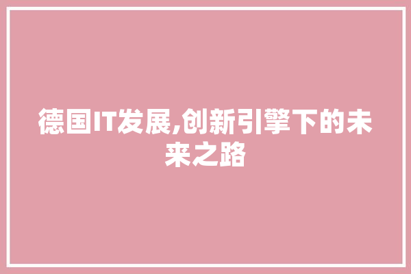 德国IT发展,创新引擎下的未来之路