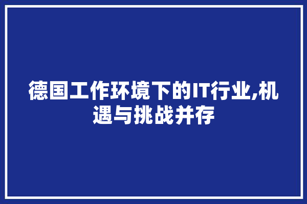 德国工作环境下的IT行业,机遇与挑战并存