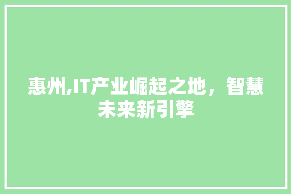 惠州,IT产业崛起之地，智慧未来新引擎