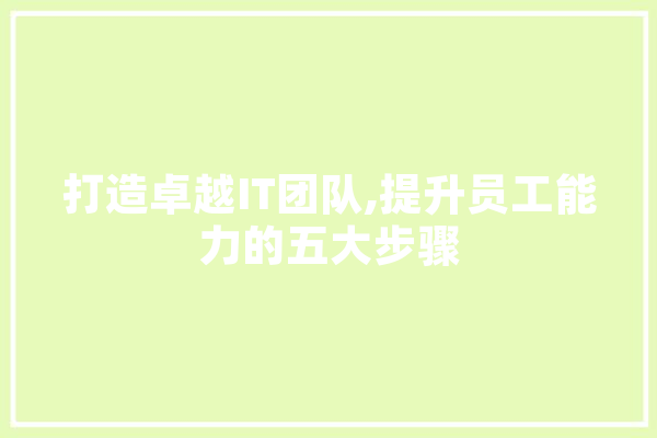 打造卓越IT团队,提升员工能力的五大步骤