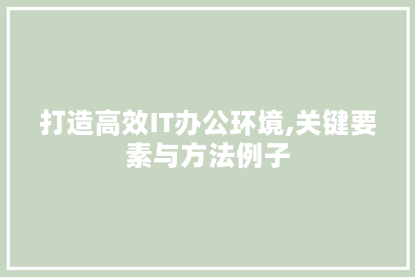 打造高效IT办公环境,关键要素与方法例子