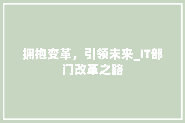 拥抱变革，引领未来_IT部门改革之路 计算机