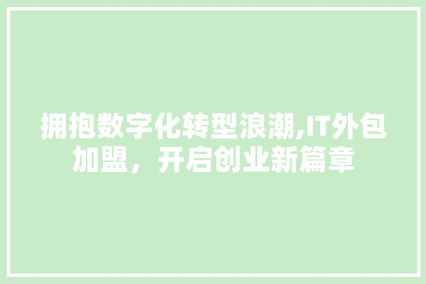 拥抱数字化转型浪潮,IT外包加盟，开启创业新篇章