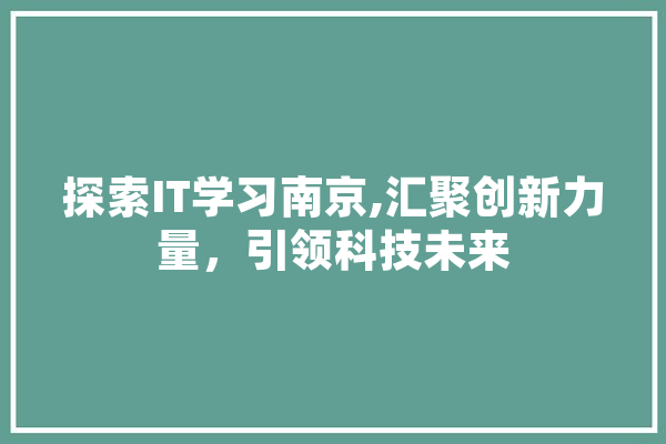探索IT学习南京,汇聚创新力量，引领科技未来 文字写作