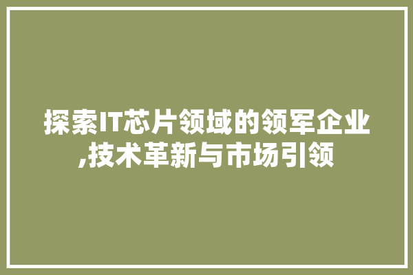 探索IT芯片领域的领军企业,技术革新与市场引领