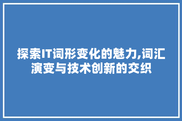 探索IT词形变化的魅力,词汇演变与技术创新的交织