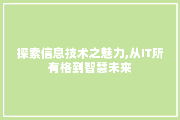 探索信息技术之魅力,从IT所有格到智慧未来 文字写作