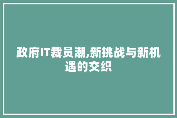政府IT裁员潮,新挑战与新机遇的交织