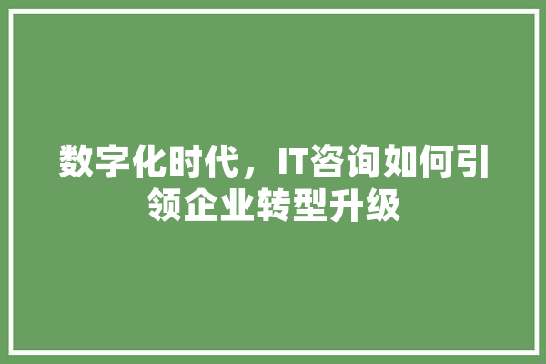 数字化时代，IT咨询如何引领企业转型升级