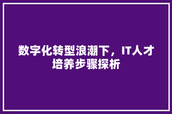 数字化转型浪潮下，IT人才培养步骤探析