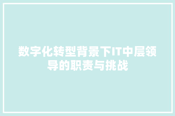 数字化转型背景下IT中层领导的职责与挑战