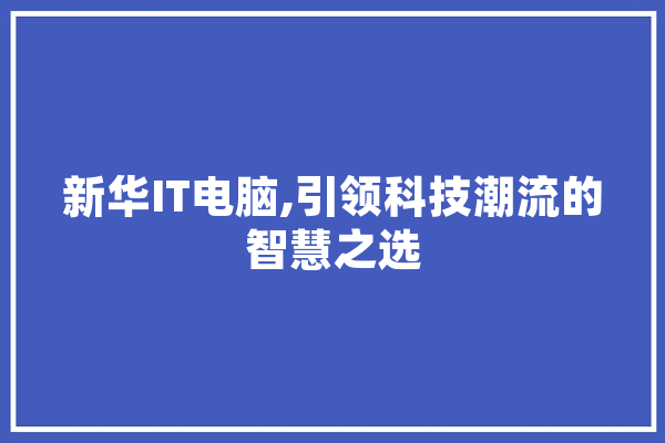 新华IT电脑,引领科技潮流的智慧之选