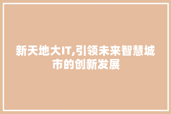 新天地大IT,引领未来智慧城市的创新发展