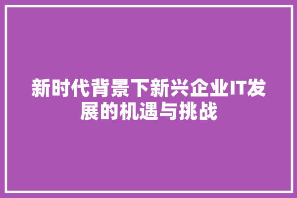 新时代背景下新兴企业IT发展的机遇与挑战