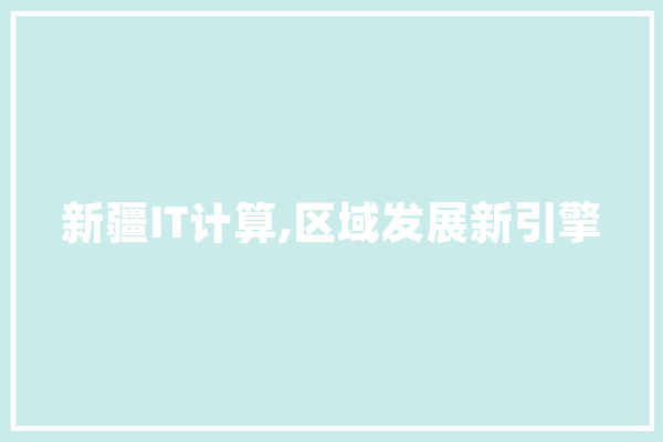新疆IT计算,区域发展新引擎