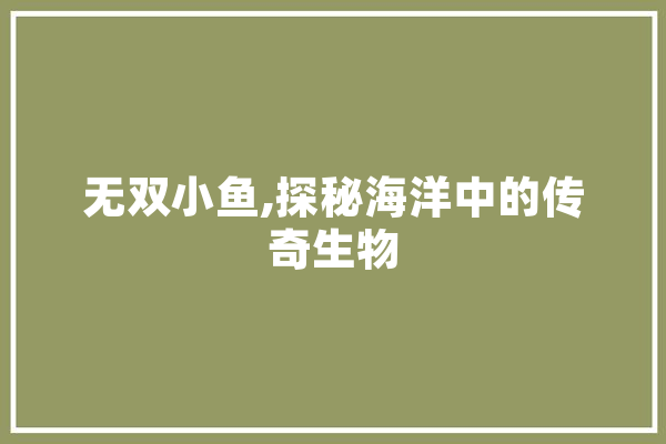 无双小鱼,探秘海洋中的传奇生物 云服务