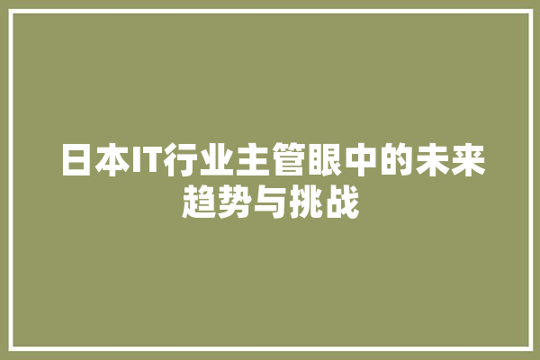 日本IT行业主管眼中的未来趋势与挑战 科技快讯