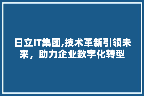 日立IT集团,技术革新引领未来，助力企业数字化转型 云服务