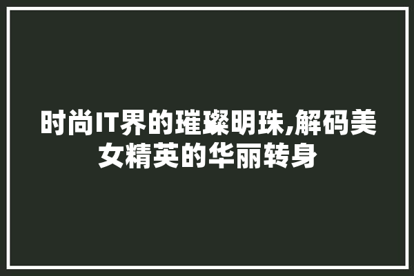 时尚IT界的璀璨明珠,解码美女精英的华丽转身